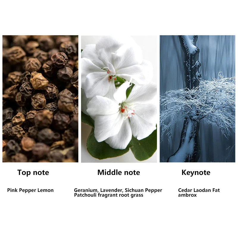 Haute qualité 90ml hommes Parfum Hombre coffret cadeau 3 pièces ensemble Colognes Parfum Fascination Homme Parfums Masculinos Parfum durable nouveau